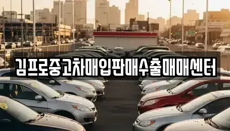 충청북도 단양군 단양읍 중고차 전문 김프로중고차매입판매수출매매센터
