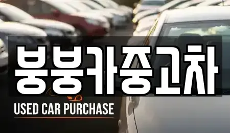 충청북도 단양군 단양읍 중고차 전문 붕붕카중고차