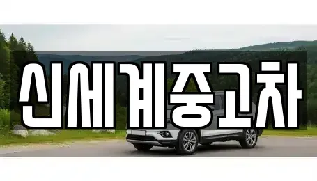 충청북도 단양군 단양읍 중고차,렌트카,중고차매입,중고차매매,장기렌트카,단기렌트카