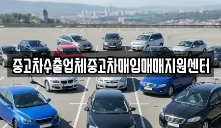 충청북도 단양군 단양읍 중고차매입 전문 중고차수출업체중고차매입매매지원센터