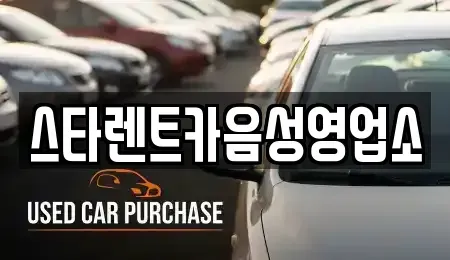 충청북도 음성군 생극면 렌트카 전문 스타렌트카음성영업소