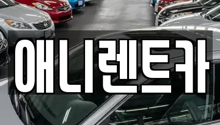 충청북도 음성군 생극면 장기렌트카 전문 애니렌트카