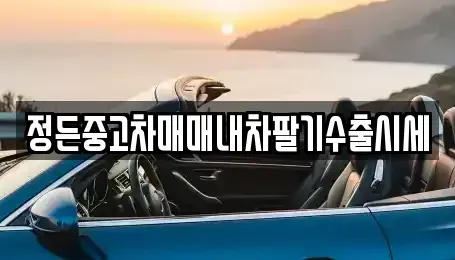 충청북도 음성군 생극면 중고차매매 전문 정든중고차매매내차팔기수출시세