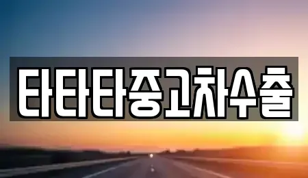충청북도 음성군 생극면 중고차매매 전문 타타타중고차수출