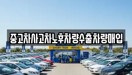 충청북도 음성군 생극면 중고차매입 전문 중고차사고차노후차량수출차량매입