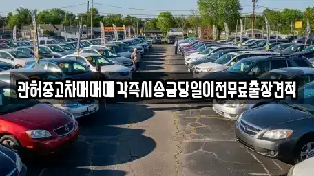 충청북도 청주시 상당구 미원면 중고차 전문 관허중고차매매매각즉시송금당일이전무료출장견적