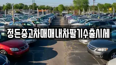충청북도 청주시 상당구 미원면 중고차 전문 정든중고차매매내차팔기수출시세