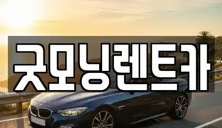 충청북도 충주시 문화동 렌트카 전문 굿모닝렌트카