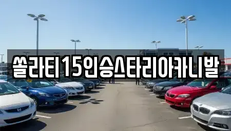 충청북도 충주시 문화동 렌트카 전문 쏠라티15인승스타리아카니발