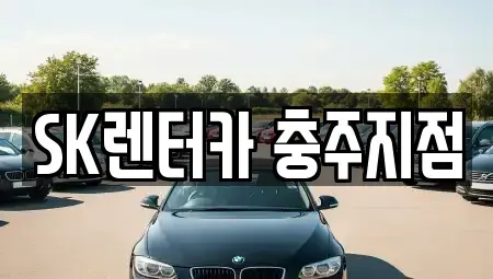 충청북도 충주시 문화동 장기렌트카 전문 SK렌터카 충주지점