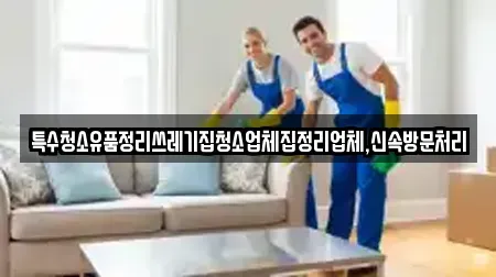 특수청소유품정리쓰레기집청소업체집정리업체,신속방문처리