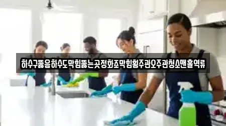 하수구뚫음하수도막힘뚫는곳정화조막힘횡주관오주관청소맨홀역류