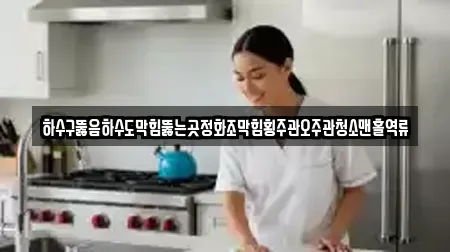 하수구뚫음하수도막힘뚫는곳정화조막힘횡주관오주관청소맨홀역류