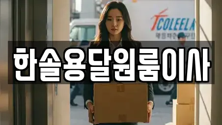 한솔용달원룸이사